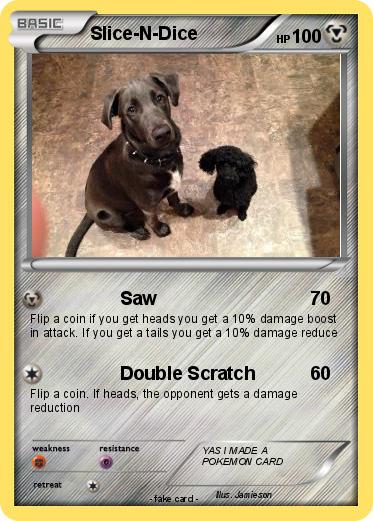 Pokemon Slice-N-Dice