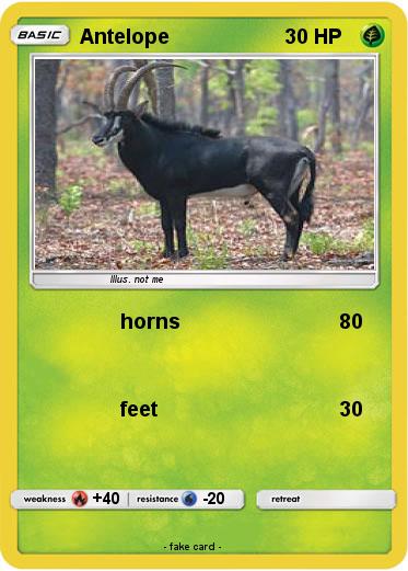 Pokemon Antelope