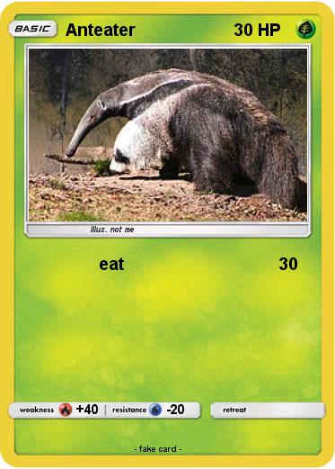 Pokemon Anteater