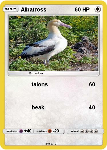Pokemon Albatross