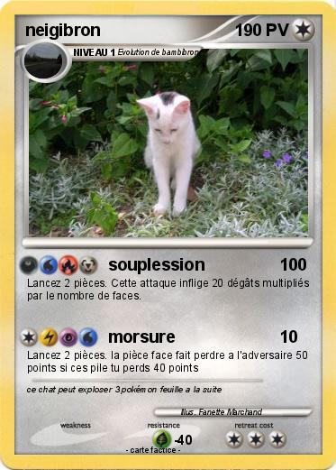 Pokemon neigibron