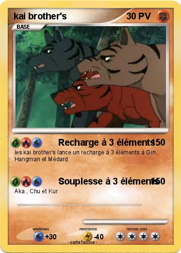 Pokemon kai brother's