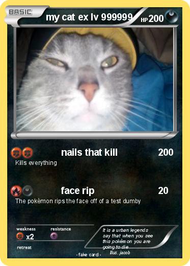 Pokemon my cat ex lv 999999