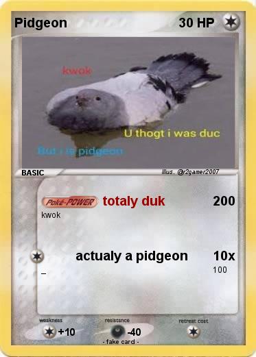 Pokemon Pidgeon