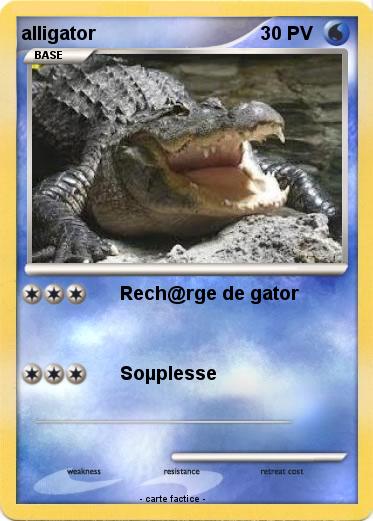 Pokemon alligator