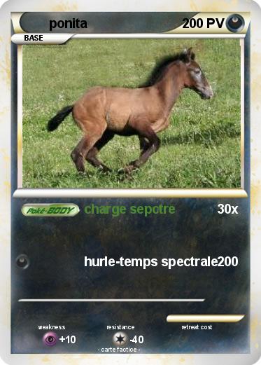 Pokemon ponita