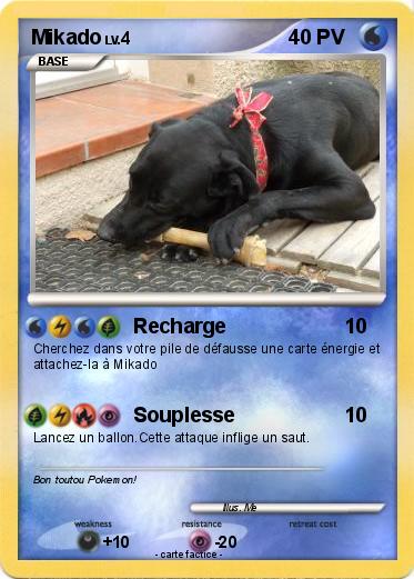 Pokemon Mikado