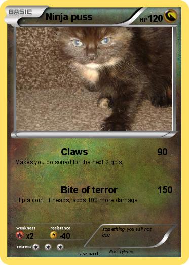 Pokemon Ninja puss