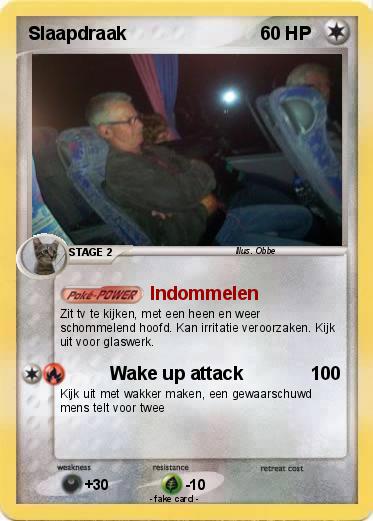 Pokemon Slaapdraak
