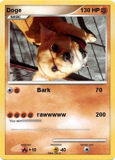 Pokemon Doge