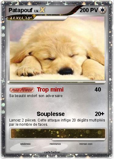 Pokemon Patapouf