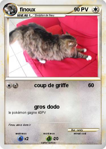 Pokemon finoux