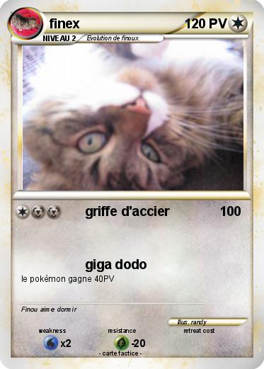 Pokemon finex