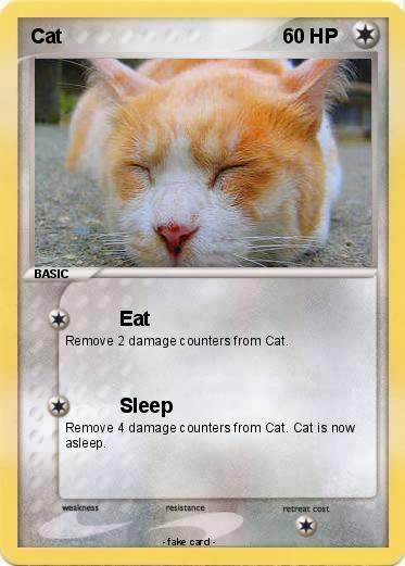 Pokemon Cat