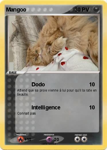Pokemon Mangoo