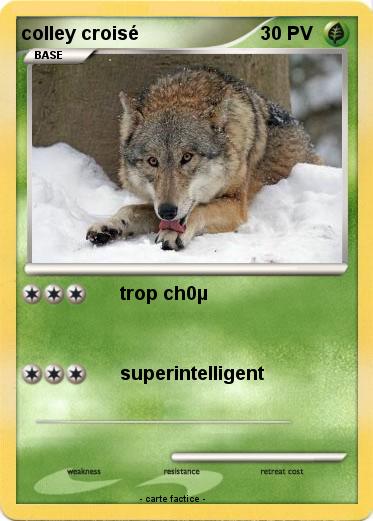 Pokemon colley croisé