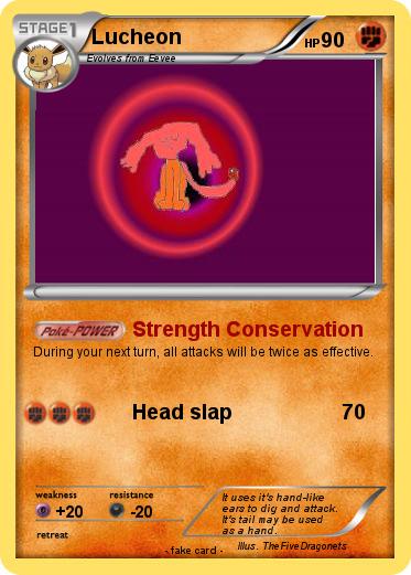 Pokemon Lucheon