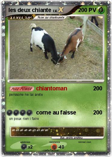 Pokemon les deux chiante