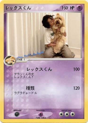 Pokemon レックスくん