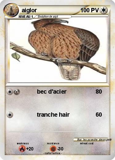 Pokemon aiglor