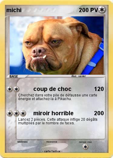 Pokemon michi