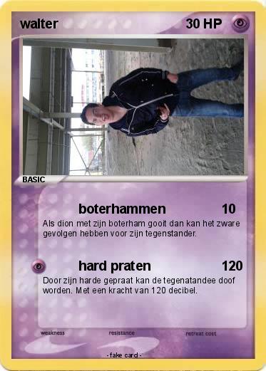 Pokemon walter