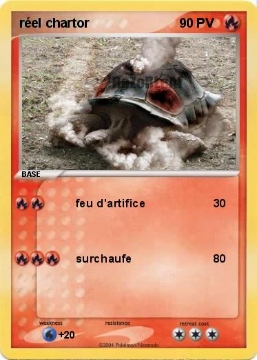 Pokemon réel chartor