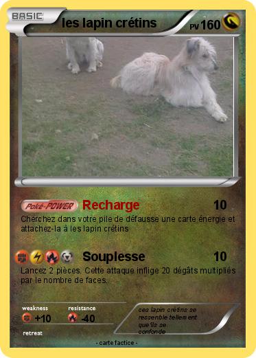 Pokemon les lapin crétins