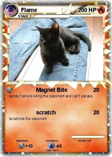 Pokemon Flame