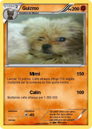 Pokemon Guizmo