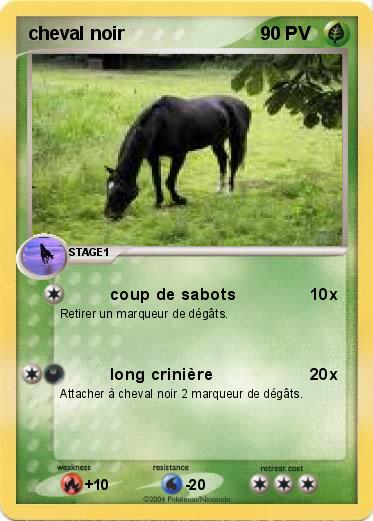 Pokemon cheval noir
