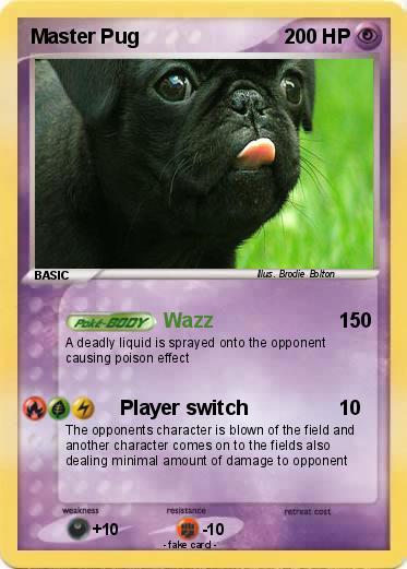 Pokemon Master Pug