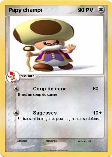 Pokemon Papy champi