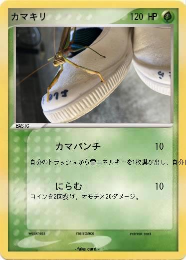 Pokemon カマキリ