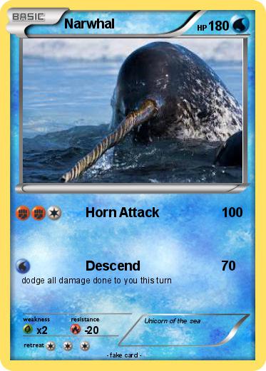 Pokemon Narwhal