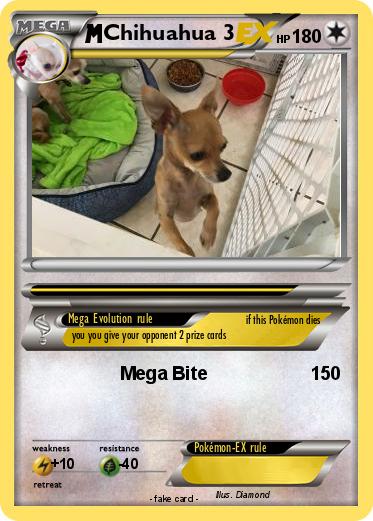 Pokemon Chihuahua 3