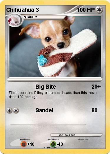Pokemon Chihuahua 3