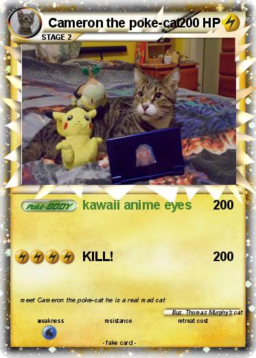 Pokemon Cameron the poke-cat
