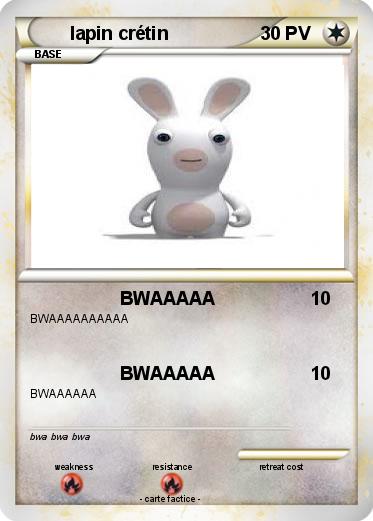 Pokemon lapin crétin