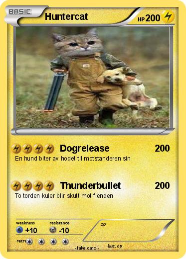 Pokemon Huntercat