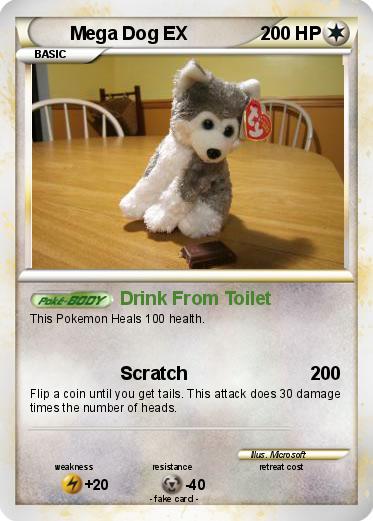 Pokemon Mega Dog EX