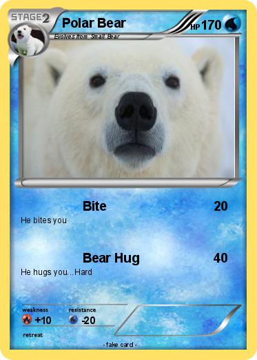 Pokemon Polar Bear