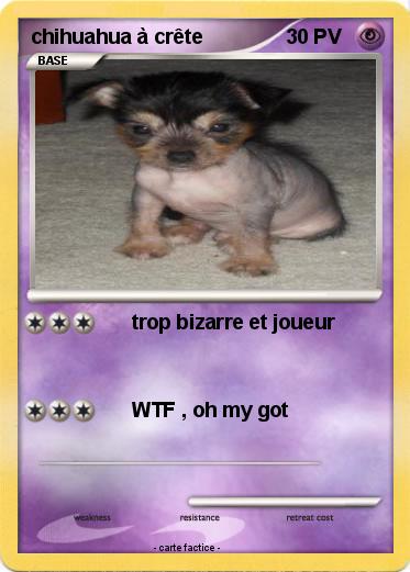 Pokemon chihuahua à crête
