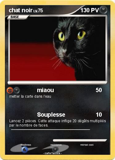 Pokemon chat noir