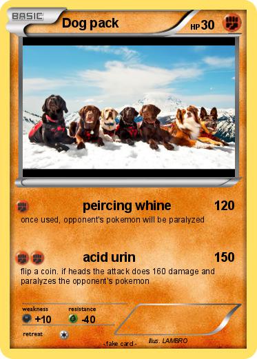Pokemon Dog pack