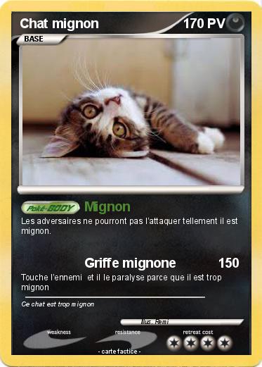Pokemon Chat mignon
