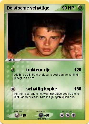 Pokemon De stoeme schattige