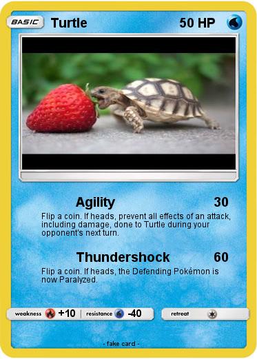 Pokemon Turtle
