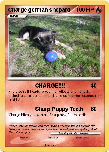 Pokemon Charge german shepard