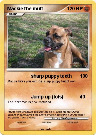 Pokemon Mackie the mutt